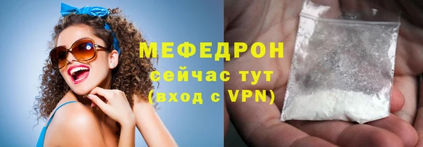 индика Козельск