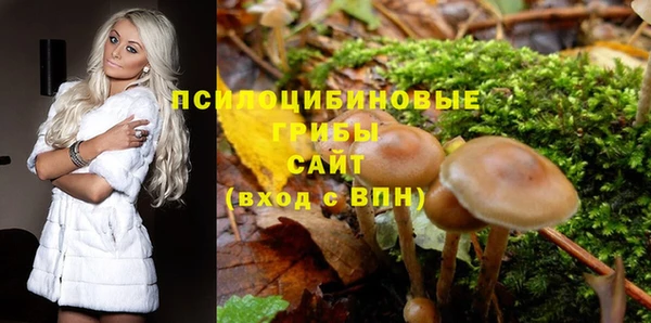 ALPHA-PVP Армянск